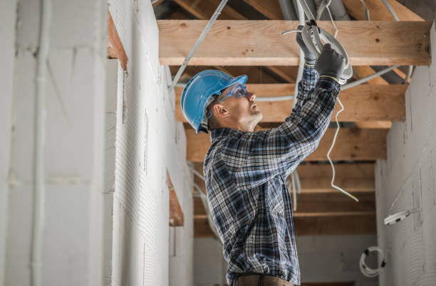 Best Outdoor Lighting Installation  in Mondovi, WI