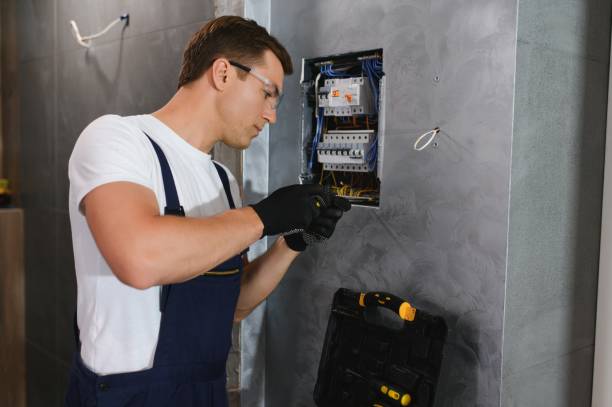 Best Home Electrical Repair  in Mondovi, WI